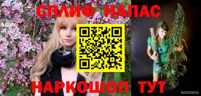 стафф Камышлов