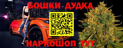 стафф Камышлов