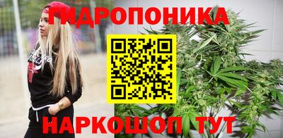 стафф Камышлов