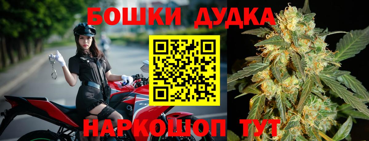 Конопля конопля Лесной